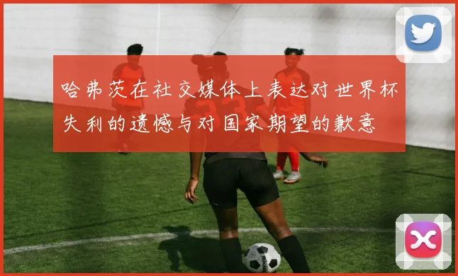 哈弗茨在社交媒体上表达对世界杯失利的遗憾与对国家期望的歉意